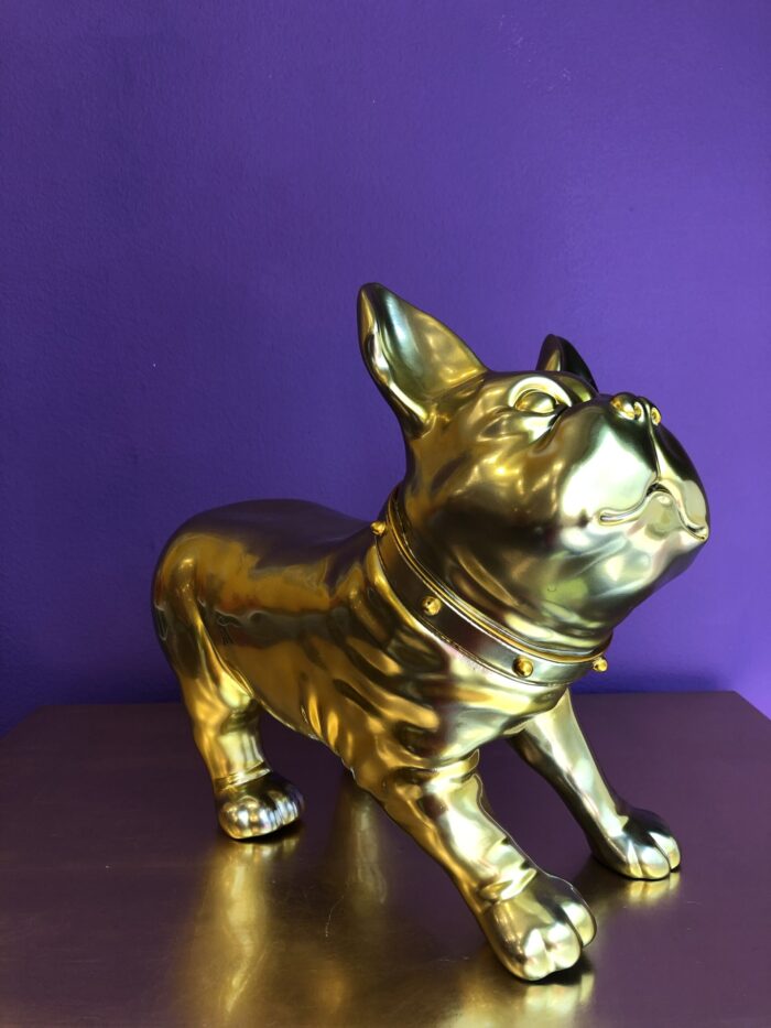 Bulldog Oro - immagine 7