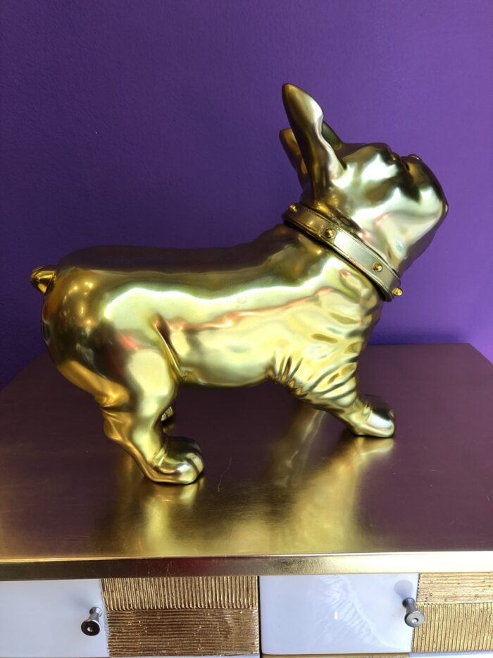 Bulldog Oro - immagine 4