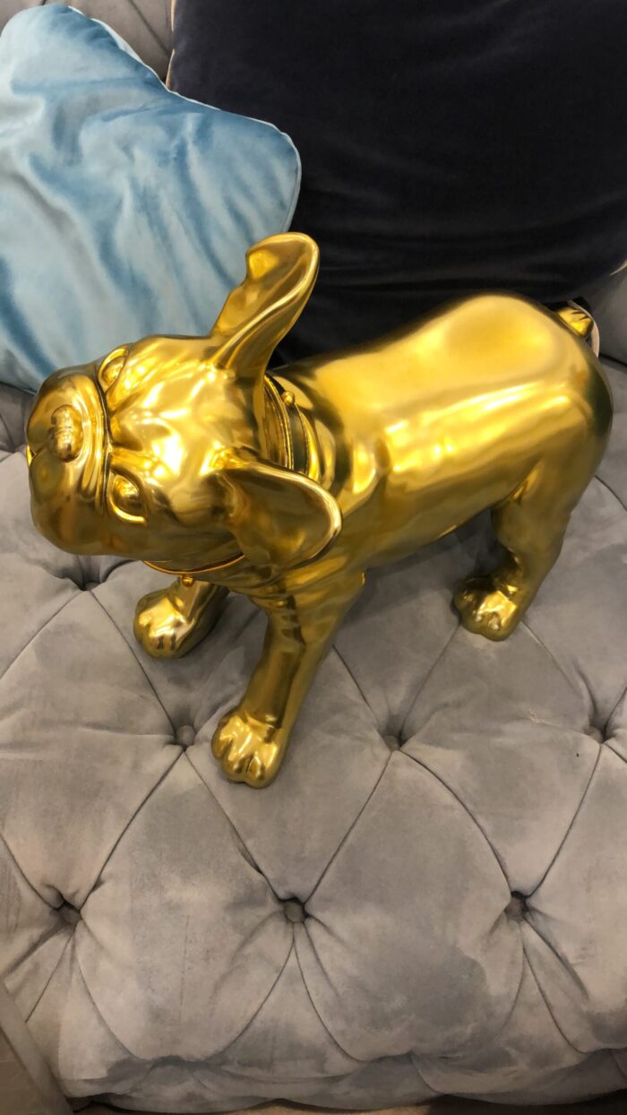 Bulldog Oro - immagine 6