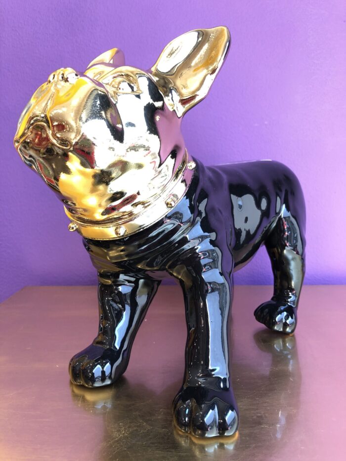 Bulldog Nero testa Oro - immagine 4