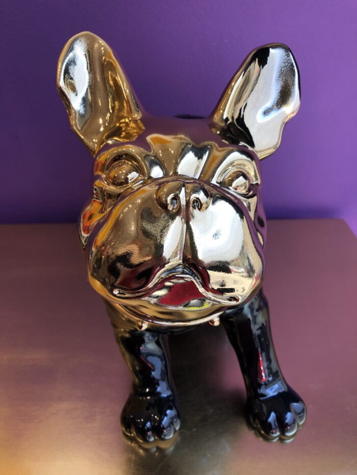 Bulldog Nero testa Oro - immagine 5