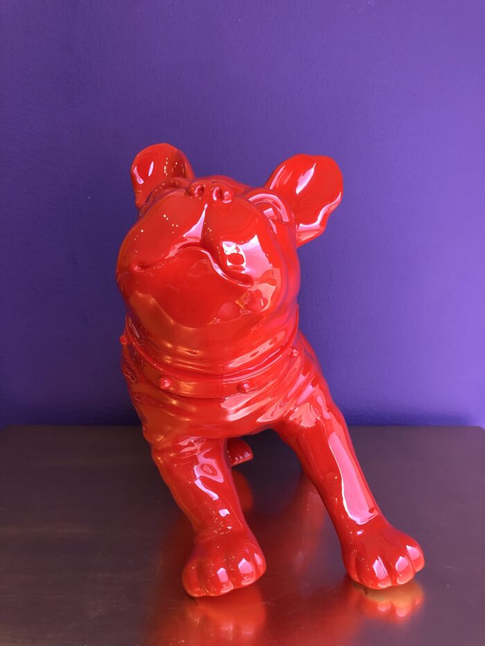 Bulldog Rosso Brandizzato - immagine 6
