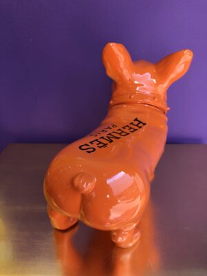 Bulldog Arancione Brandizzato