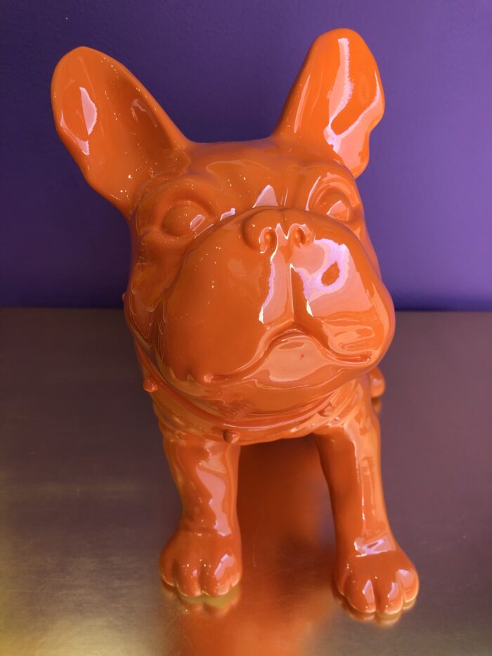 Bulldog Arancione Brandizzato - immagine 8
