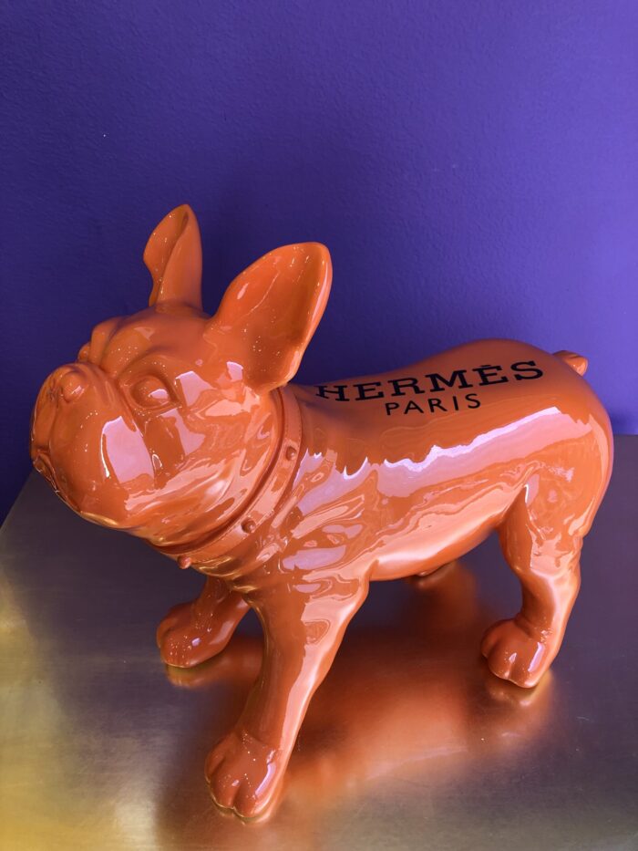 Bulldog Arancione Brandizzato - immagine 4