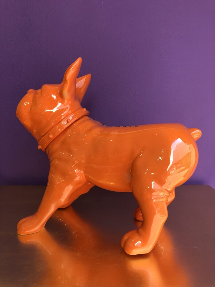 Bulldog Arancione Brandizzato - immagine 10