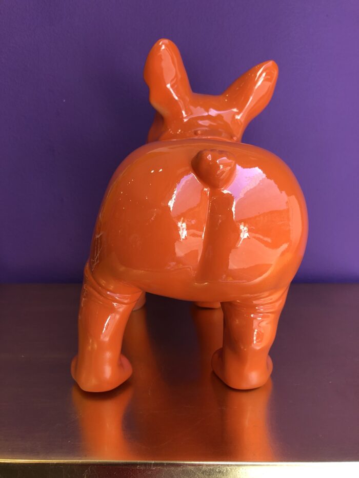 Bulldog Arancione Brandizzato - immagine 9