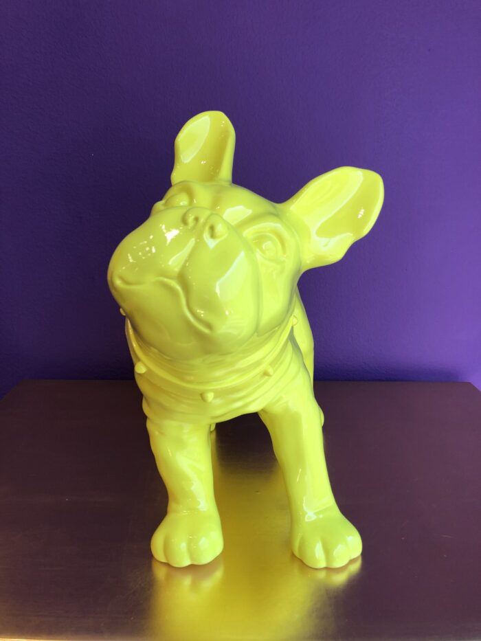 Bulldog Giallo Fluo