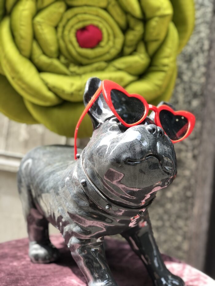 Bulldog Radica - immagine 2