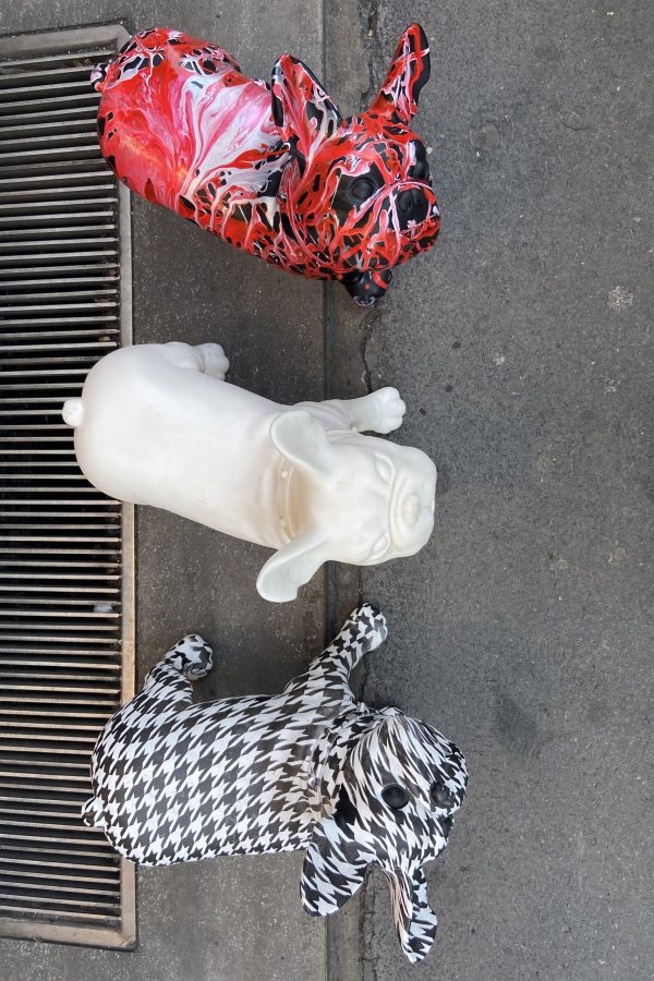bulldog-misti_bn_white_red-3-V-